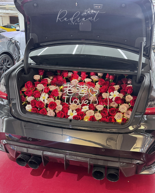 普通私家車❤️車尾箱款